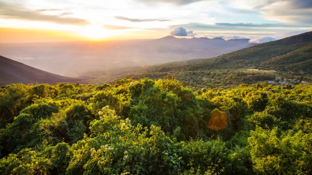 Kakamega Forest Tour