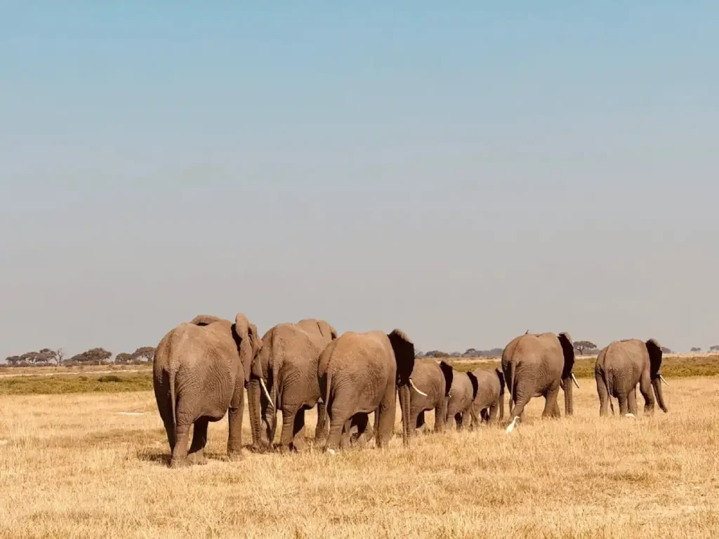 Best Road trips in Nairobi