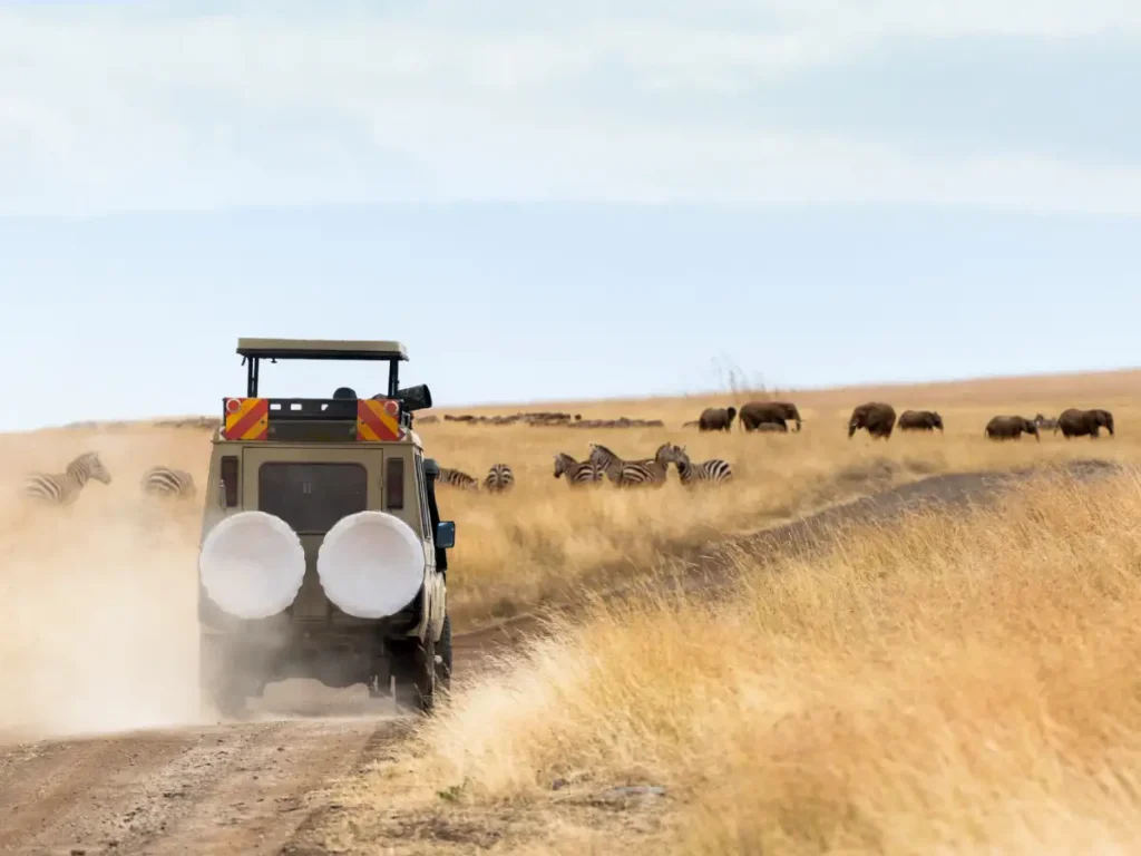 Best Kenya tour packages