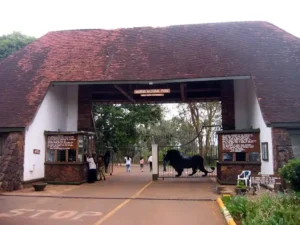 Nairobi National Park safari