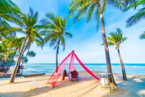 Luxury Coastal Holiday in Kenya | Private car rental with driver for luxury holiday in Mombasa and Kilifi with chariot safaris kenya