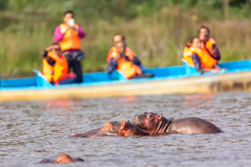Boat-Riding-in-naivasha-with-the-hippos