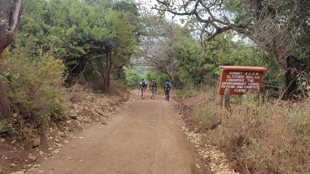 Mount Kilimambogo Hiking Package _ Guided Day Treks to Ol Donyo Sabuk