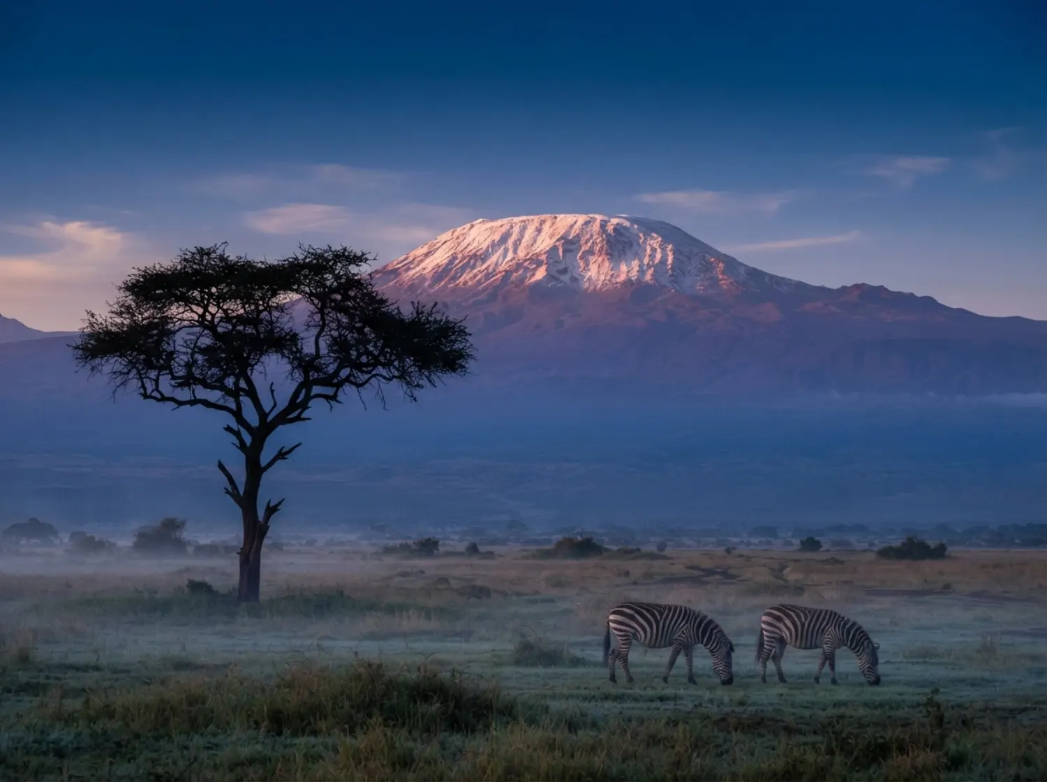 amboseli-kilimanjaro-sunrise-couples-getaway